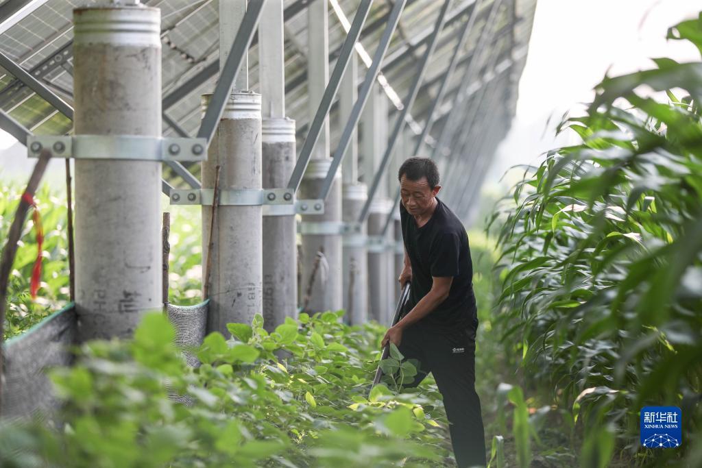 手机信息验证送38彩金