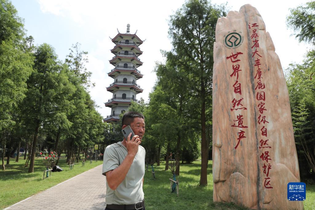 手机赌博官网
