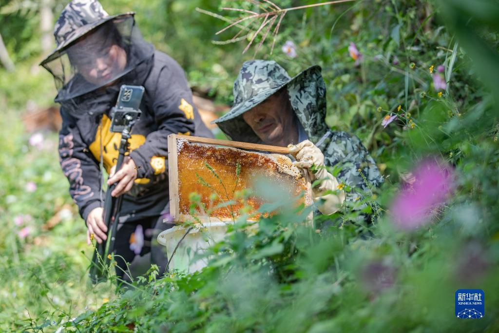 微乐斗地主官网下载